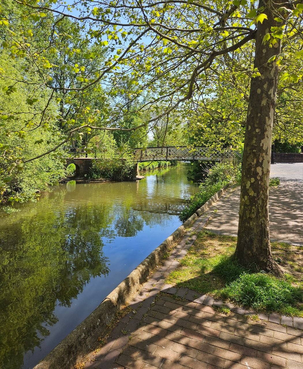 Riverside walk in Guildford  : Actifit Report Card: April 22 2026