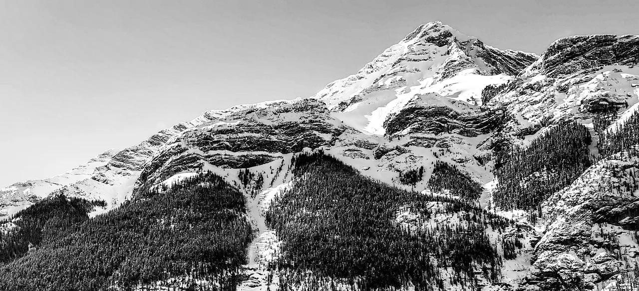 CFF15D7F-C2DB-496F-BE40-58615F3F042B.jpeg