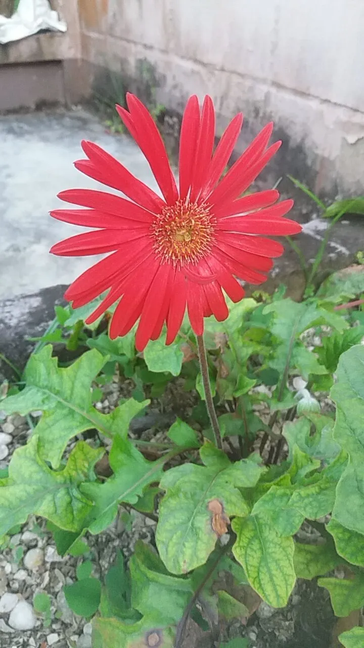 Snapchat-1239051350.jpg