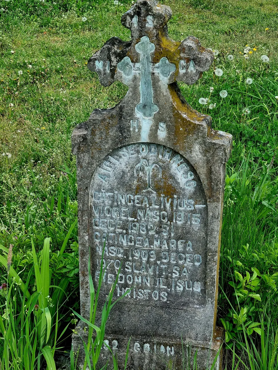 20230429_153911.jpg