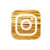 LogoInstagram.png.png