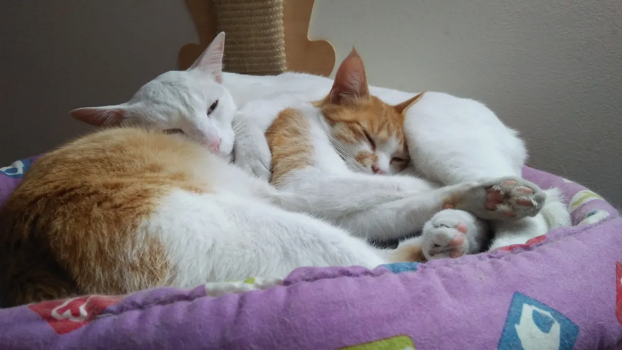 IMG20200225201223.jpg