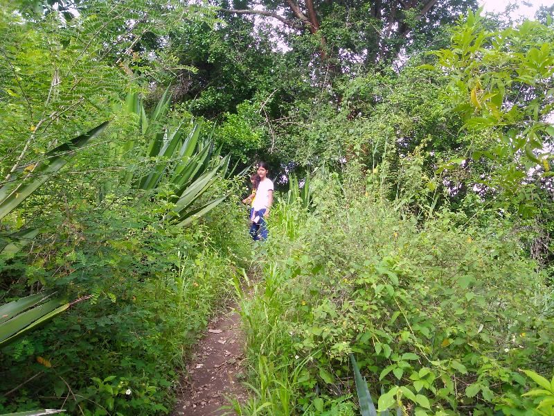 p04.jpg