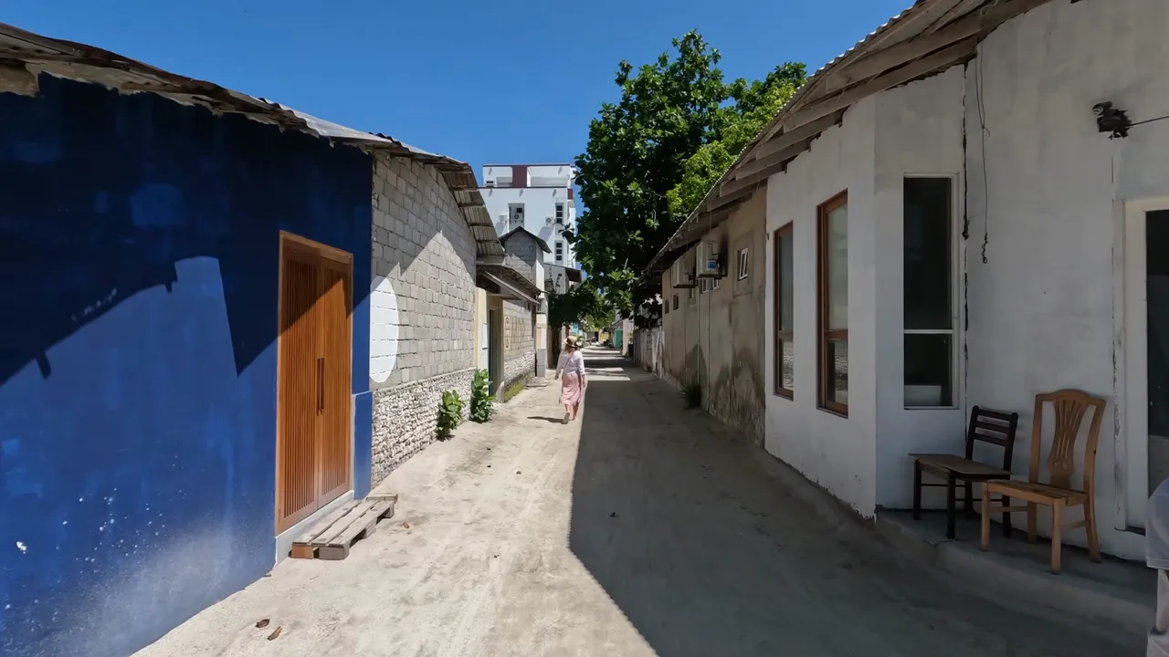 269.jpg