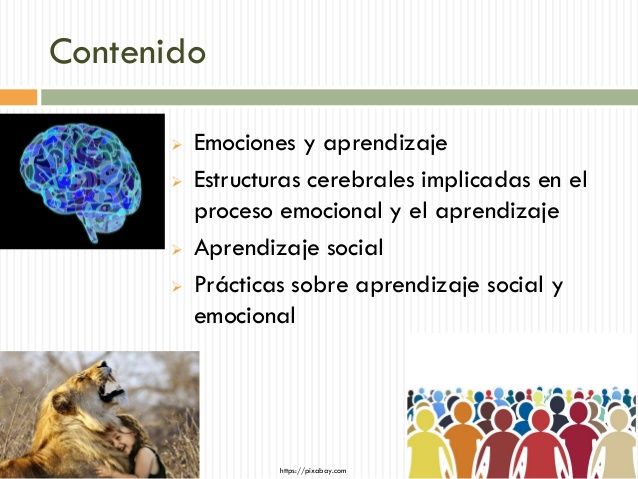 educacin-y-aprendizaje-social-y-emocionallsm-3-638.jpg