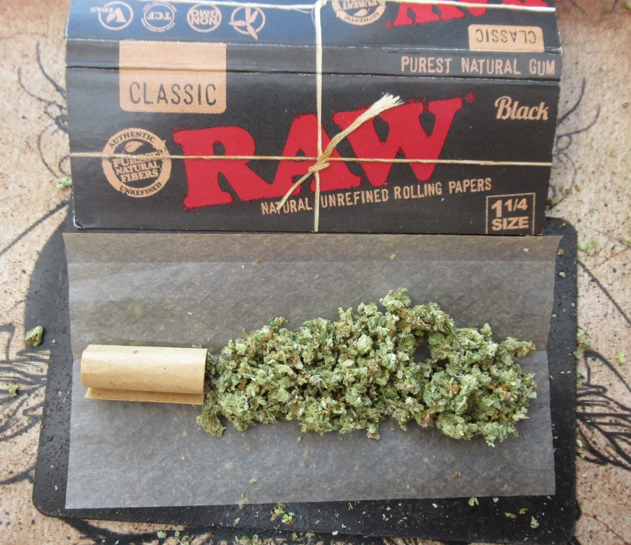 rollready.jpg