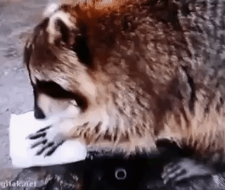 210039374.gif