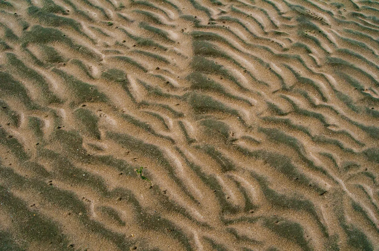 REZ_56752.jpg