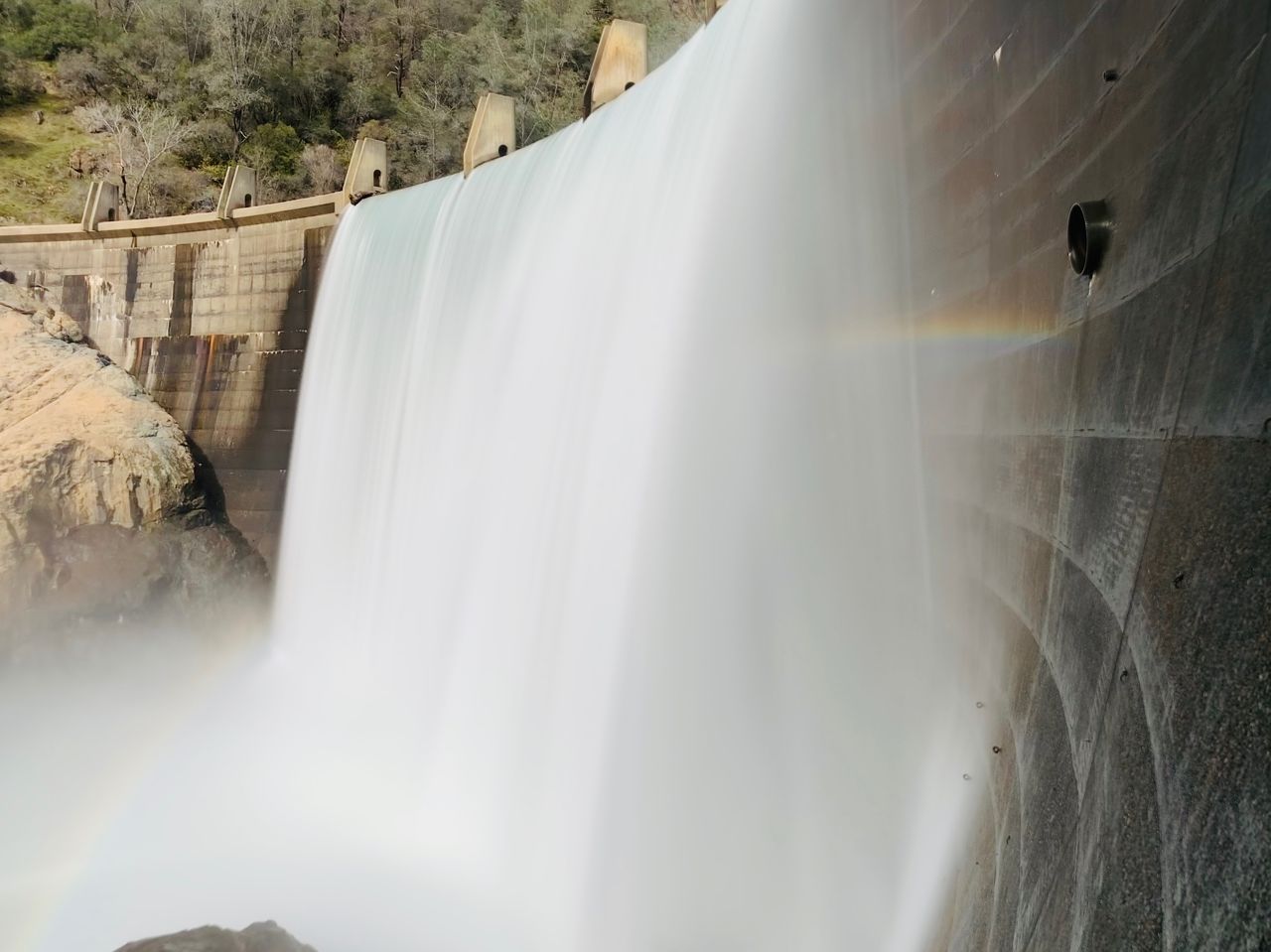 IMG_0319.jpeg