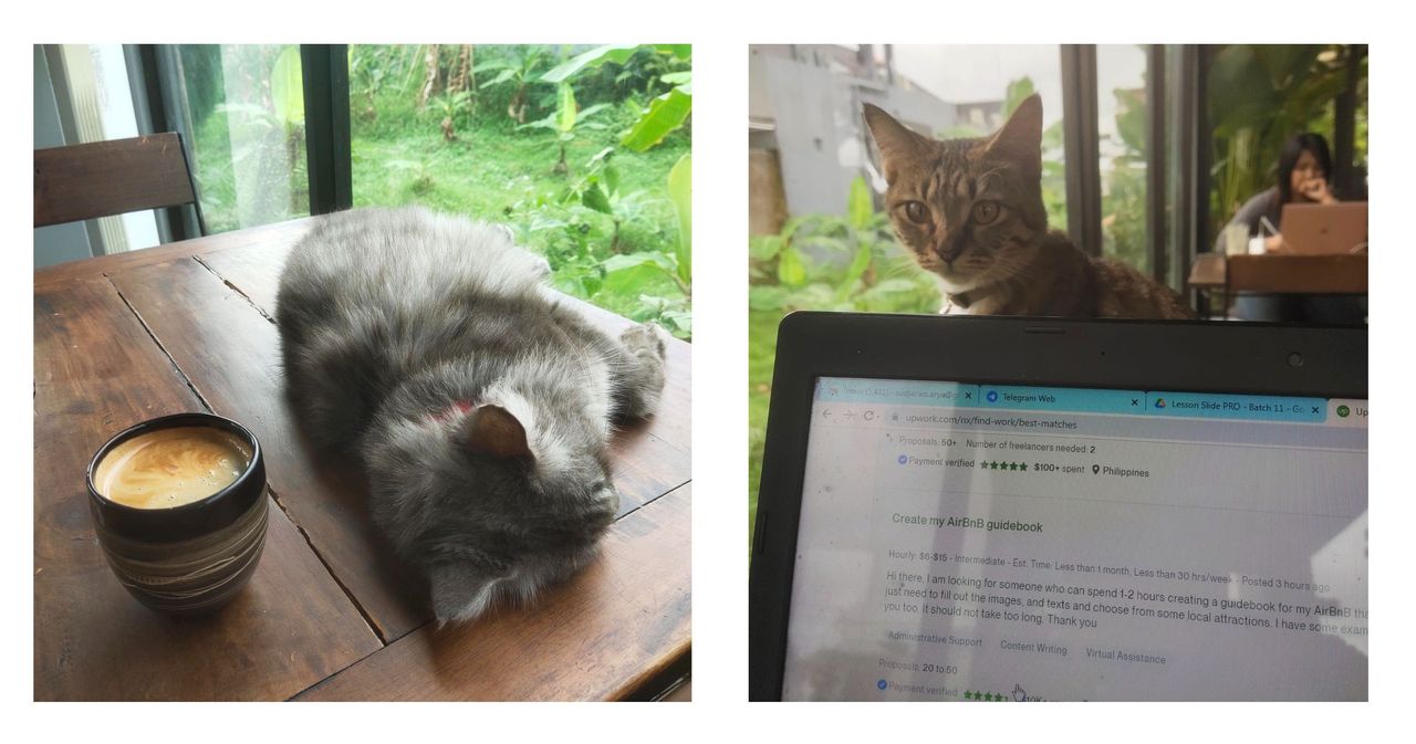 You're A Coffee + Cat Lovers ? Try This Cafe In Yogyakarta !