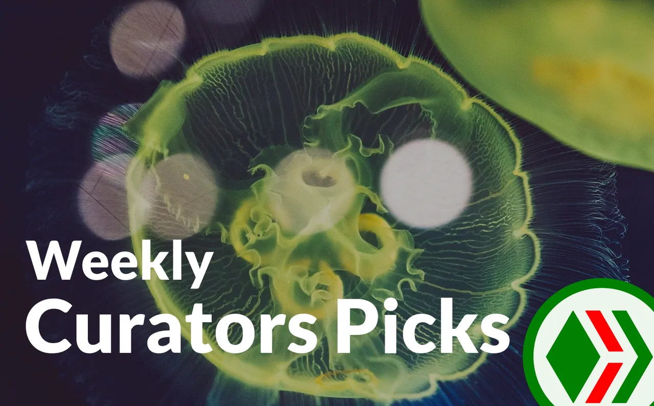 curators-picks.png