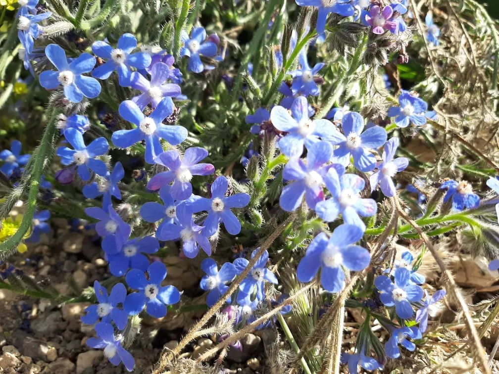 natureo9 (30).jpeg