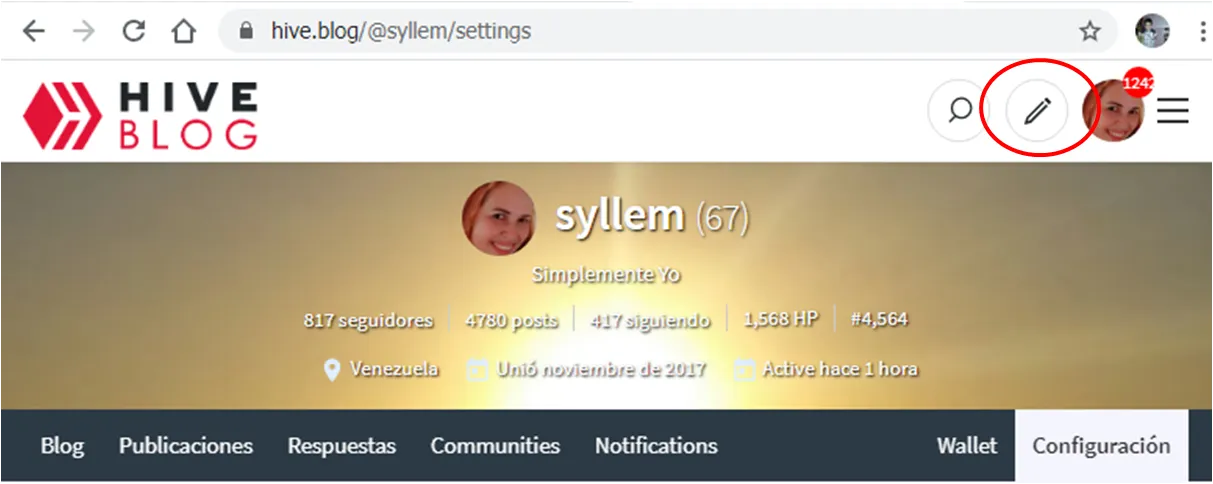 Capturaperfil2.png