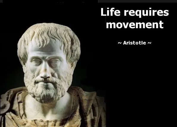 life movement.jpg