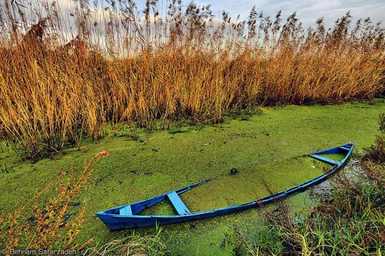 Anzali Lagoon.jpg