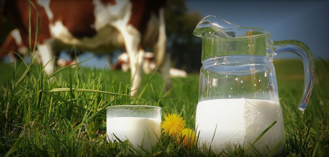 leche-de-vaca.jpg