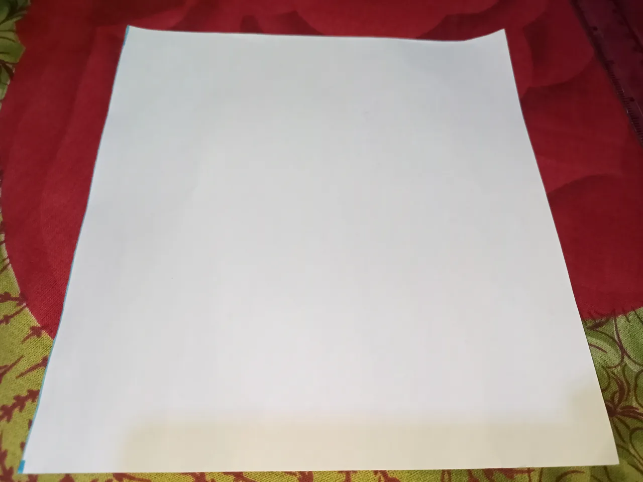 IMG20220525145500_01.jpg