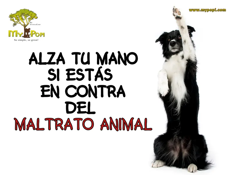 maltratoperros_sitio.jpg