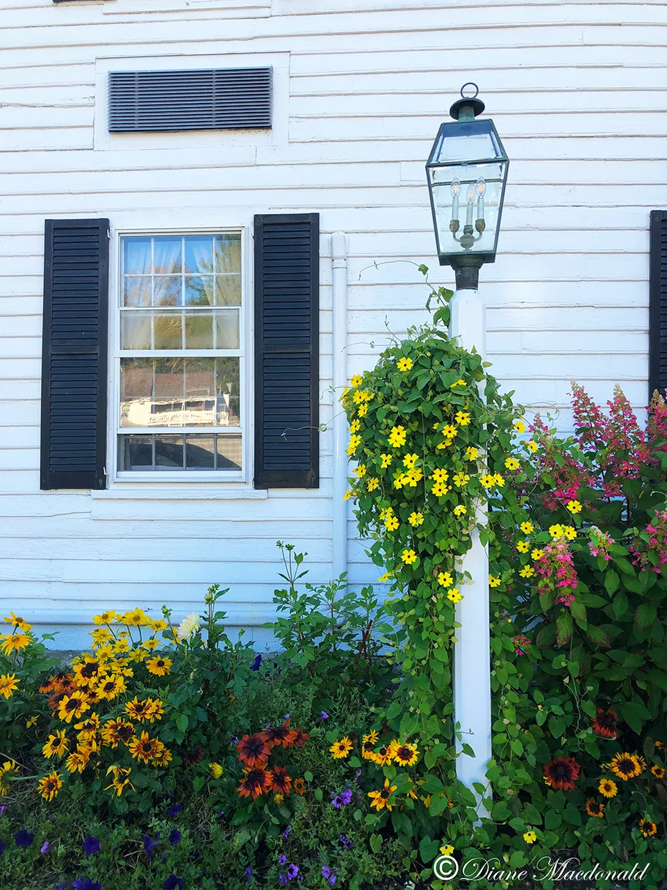 lamppost and flowers.jpg