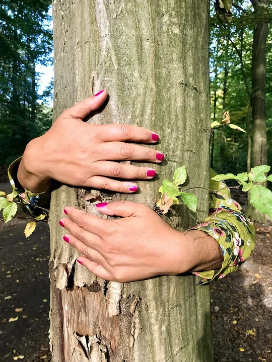tree-4925700_960_720.jpg