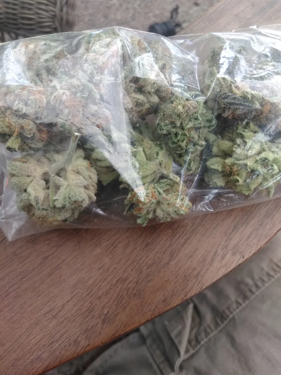 JPEG_20180901_151150.jpg
