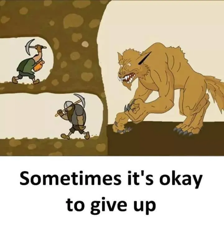 FB_IMG_1541359517345.jpg