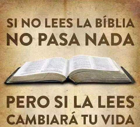 FB_IMG_1541303052581.jpg