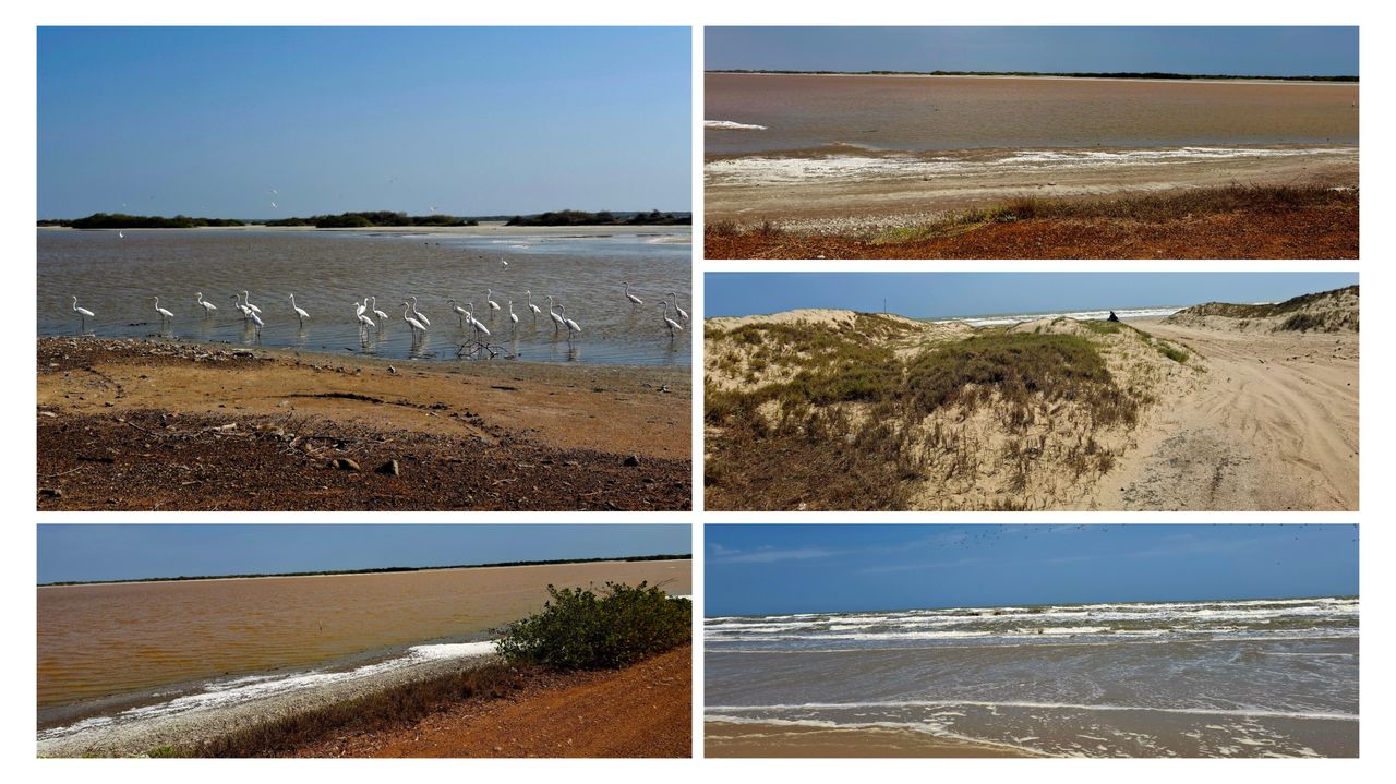Trip to the San Carlos Peninsula. Part Two: Sinamaica Salt Flats and the shores of the Gulf of Venezuela | Viaje a la Península de San Carlos. Segunda Parte: Salinas de Sinamaica y ribera del Golfo de Venezuela 🌊