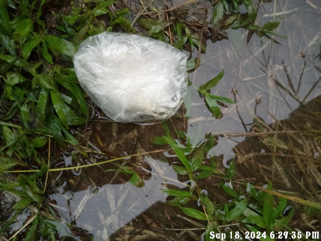 TimePhoto_20240918_182935.jpg