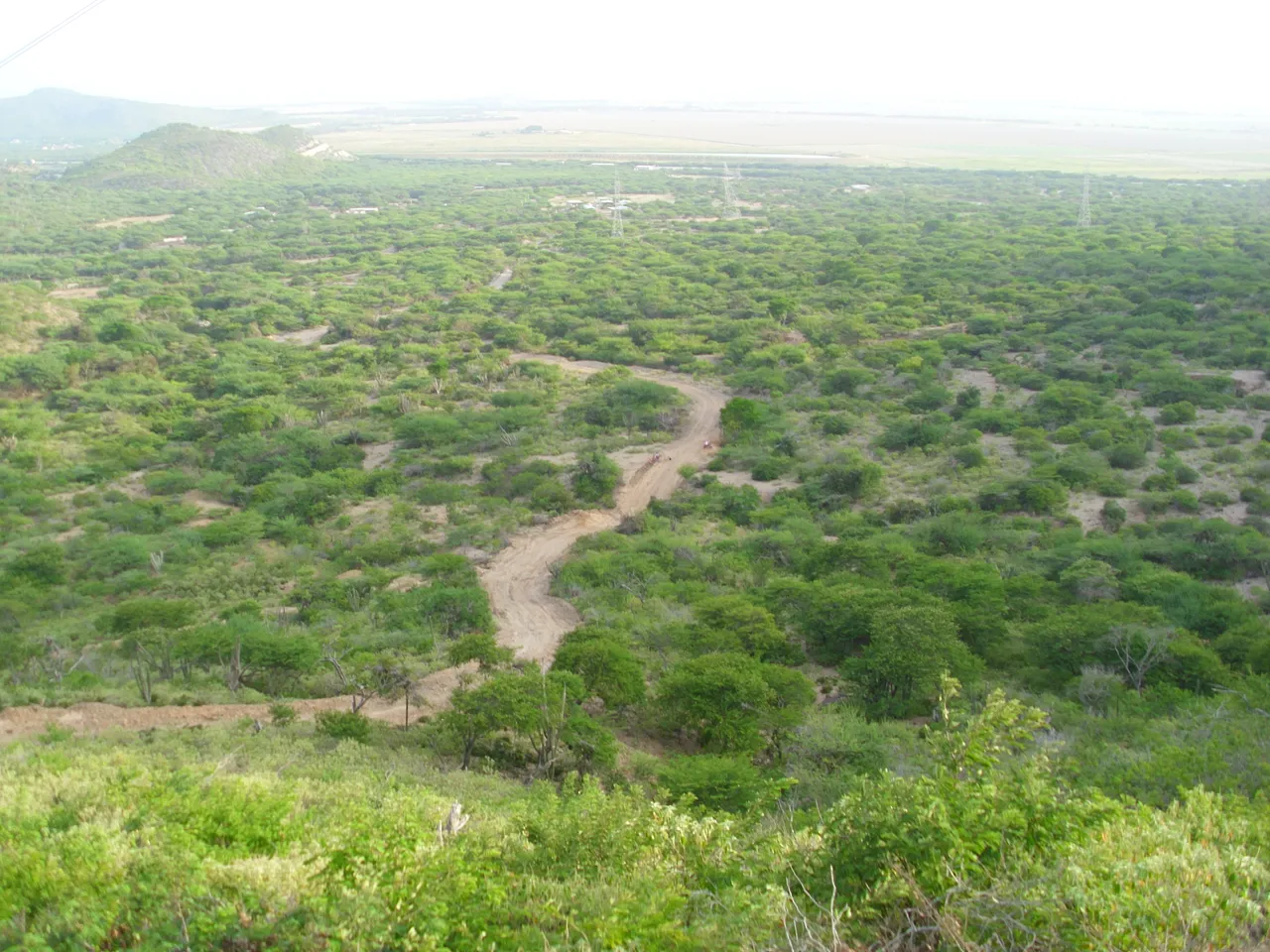 HPIM2653.JPG