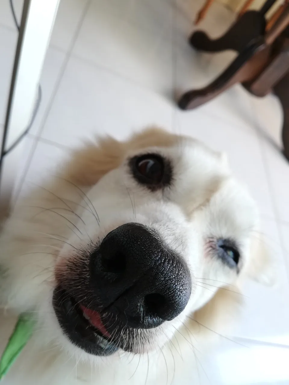Imgur
