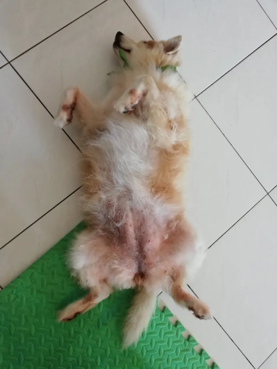 Imgur