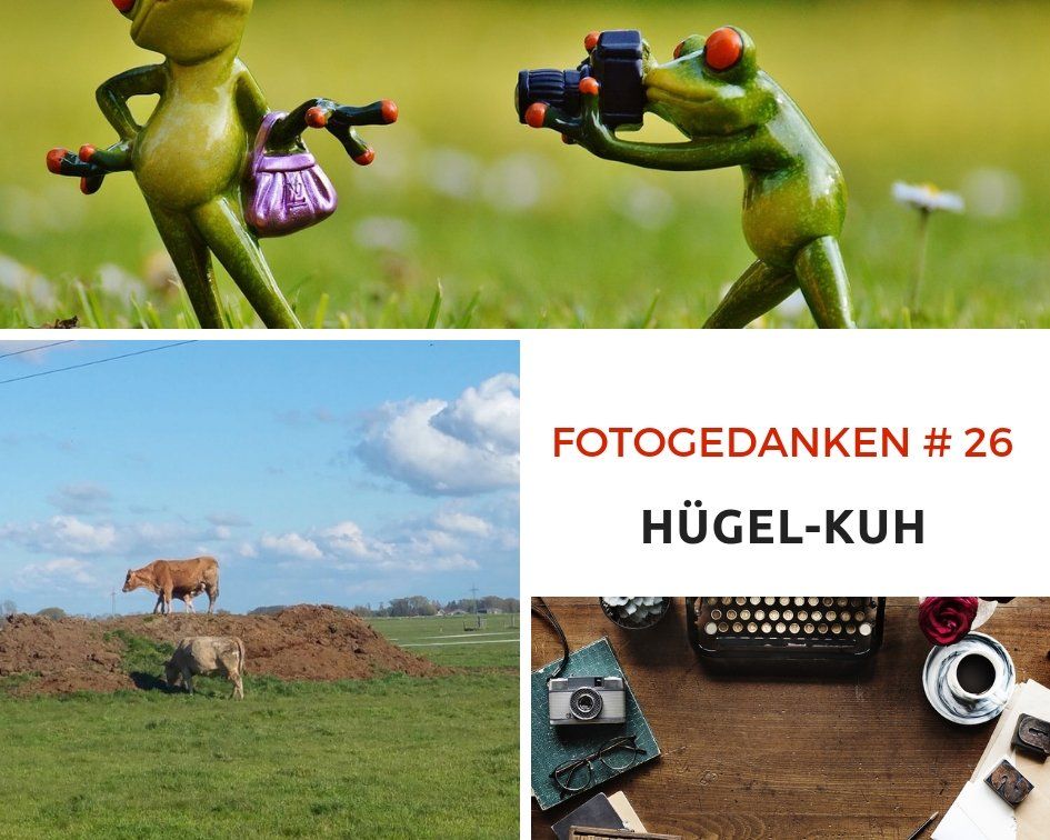 Hügelkühe