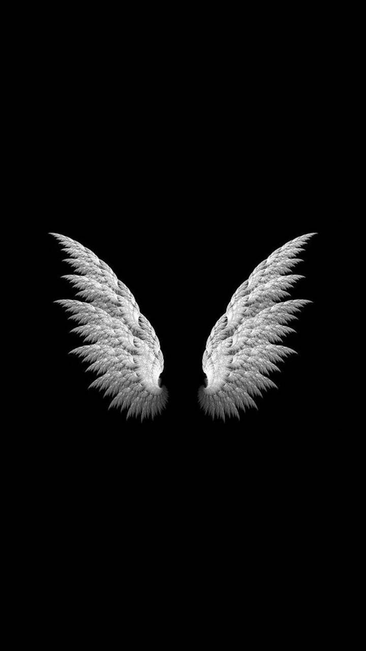 Angel-14600d06-2020-40aa-ac6d-8db84574e5c7.jpg