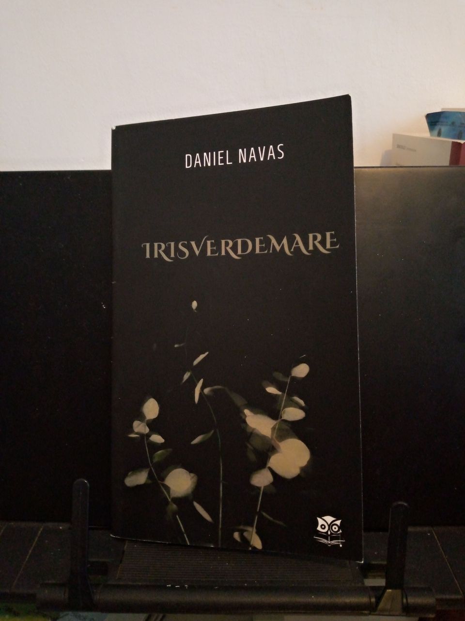 carátula Irisverdemare.jpg