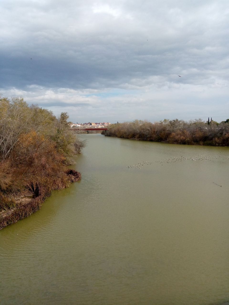 río Guadalquivir 1.jpg