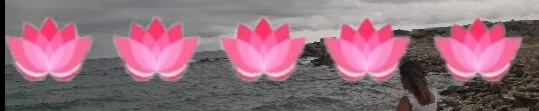 Lumii_20221013_104531447.jpg