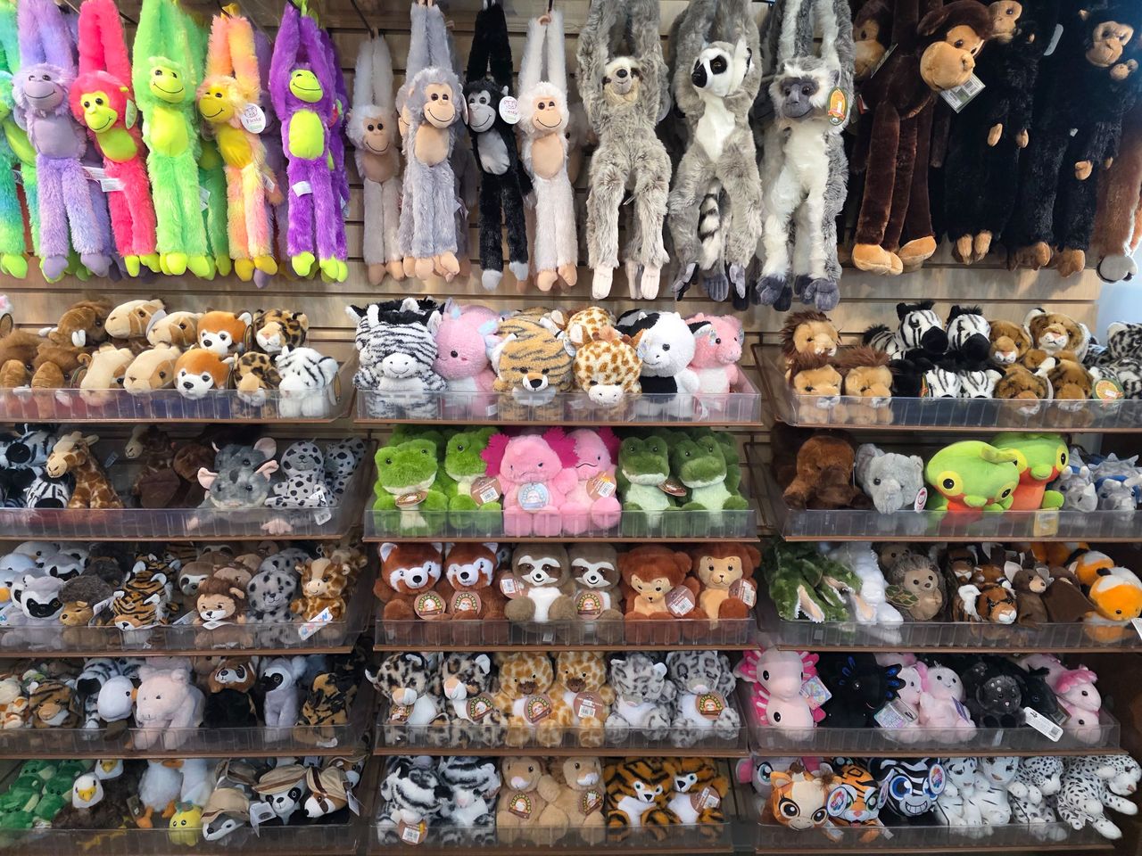 20260417_123900.jpg