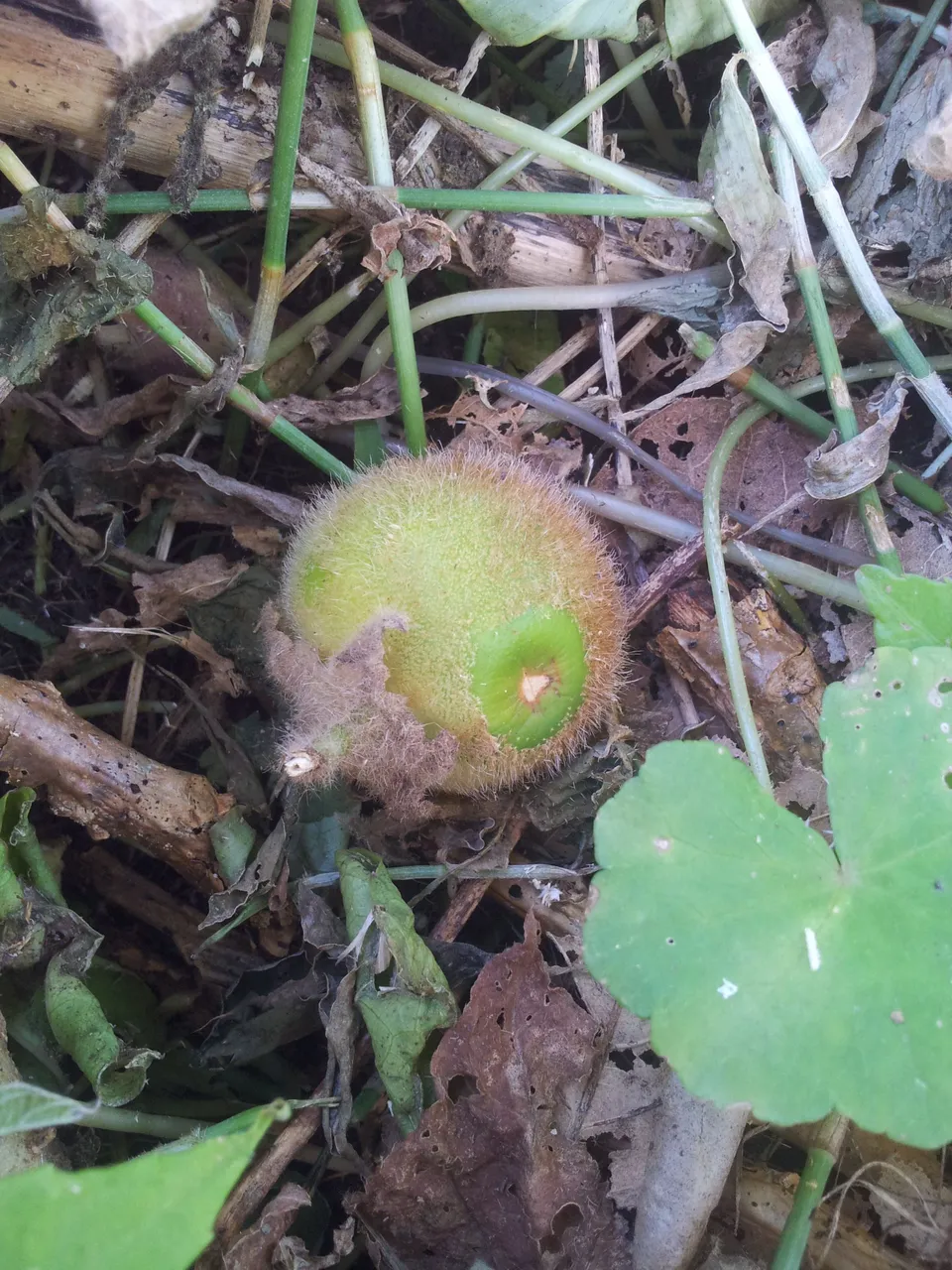 20130623_153309.jpg