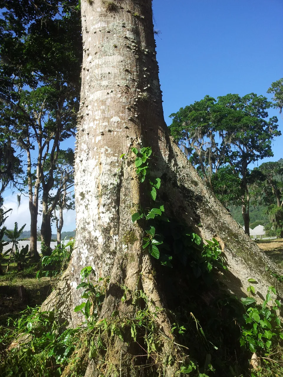 20130623_152854.jpg