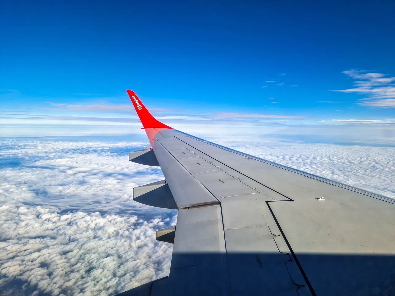 20231006_090301.jpg