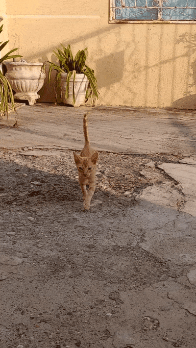 20230423_142405.gif
