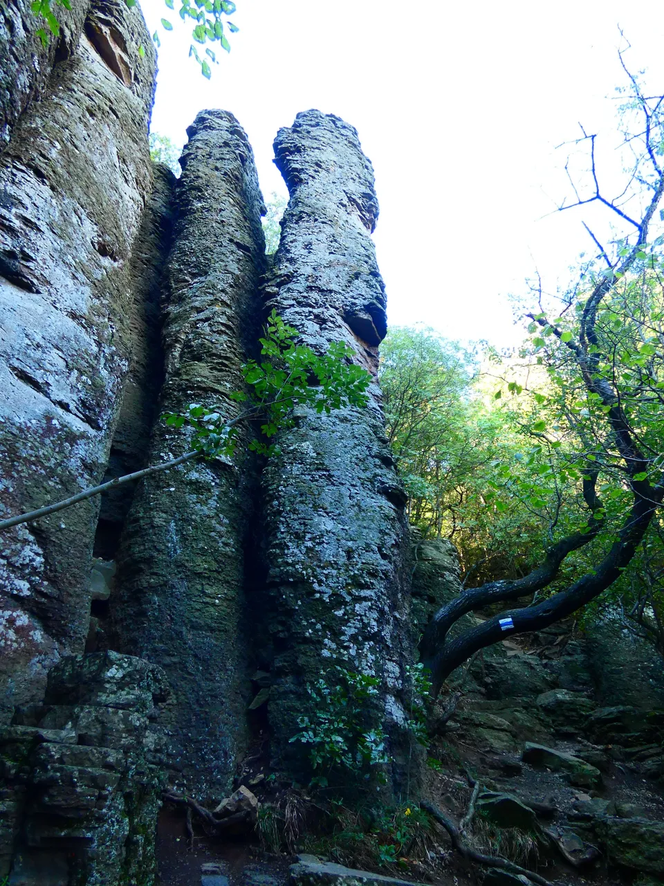 P1500030.JPG