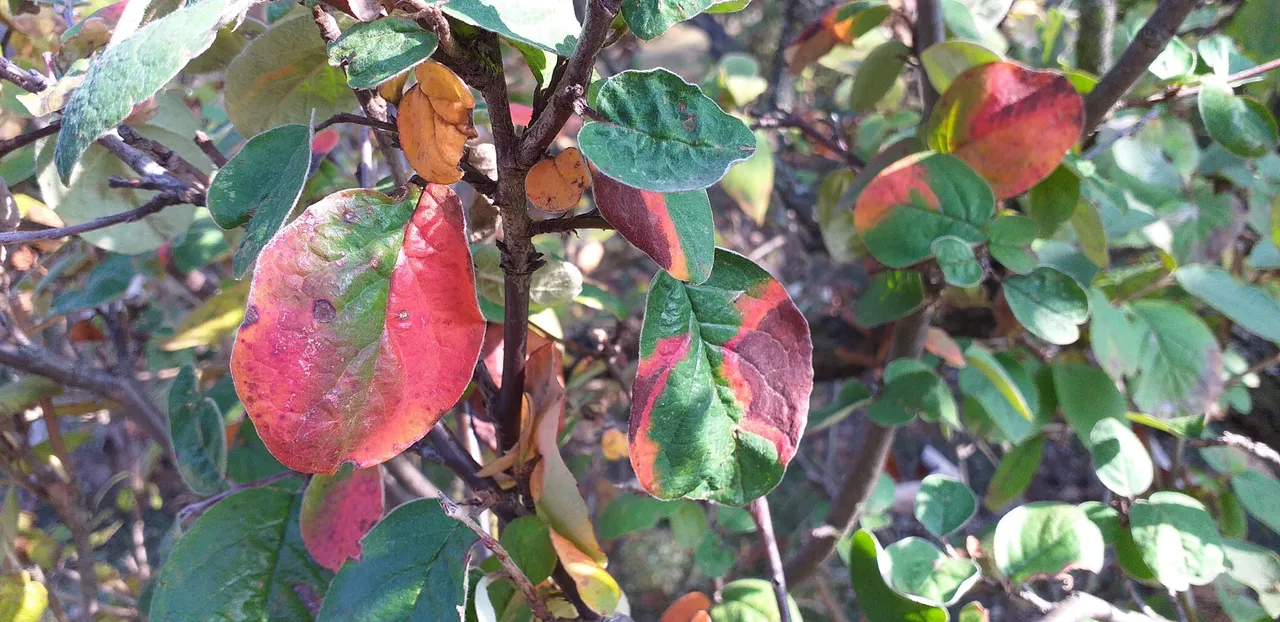 20221013_145344.jpg