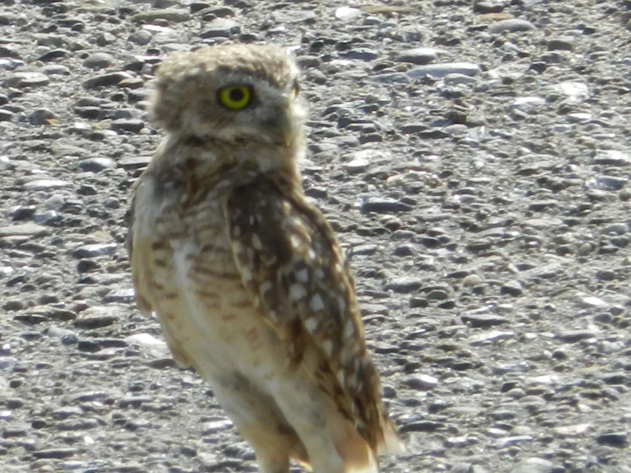 DSCN4481.JPG