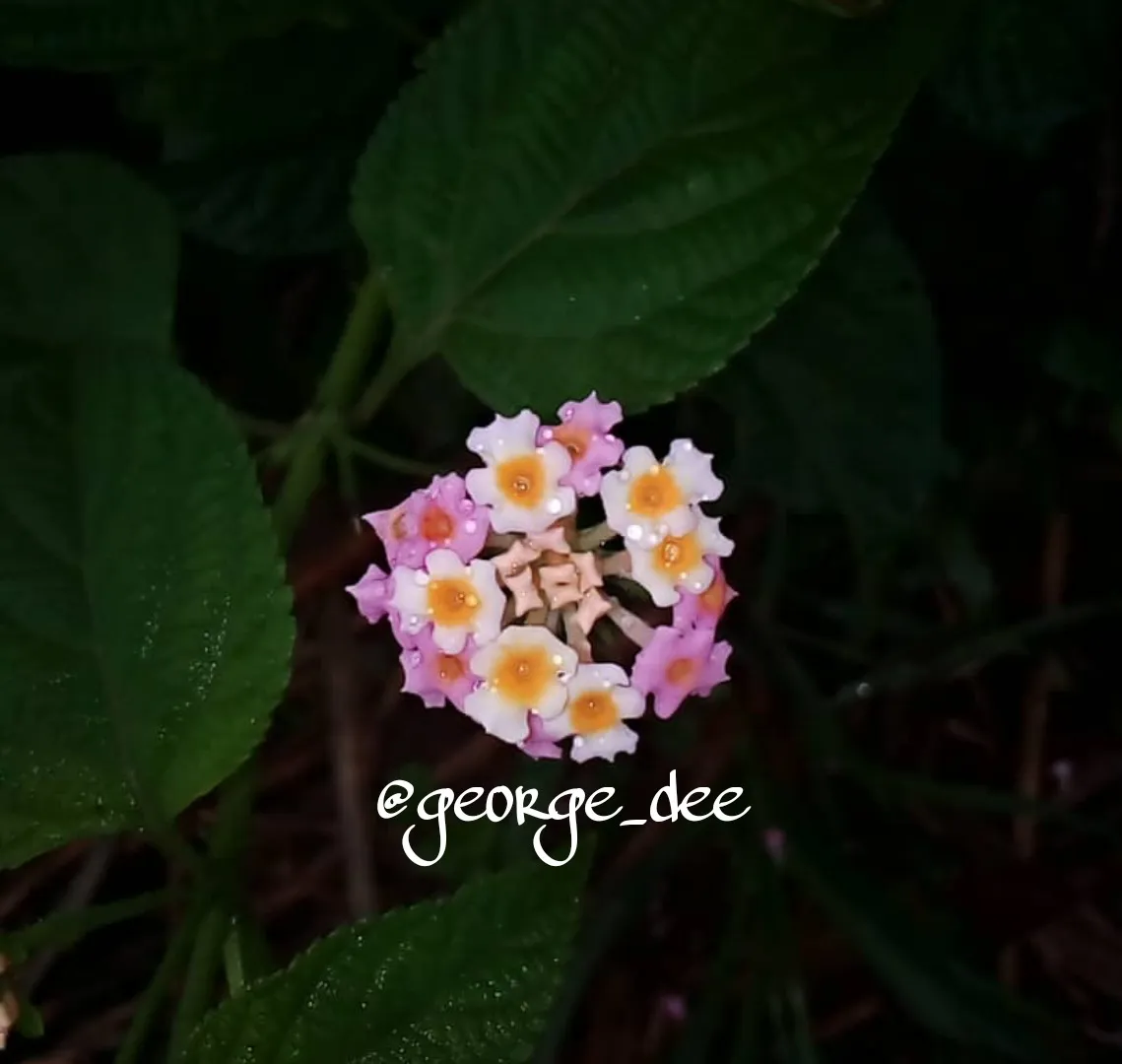 PicsArt_08-25-11.17.54.jpg