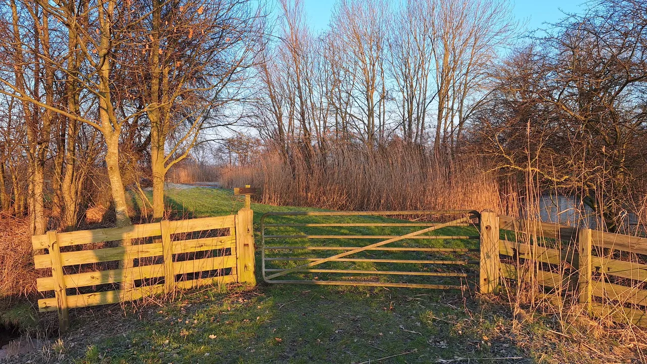 20250217_082927.jpg
