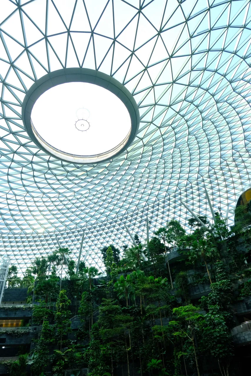 Hive Changi 3 (1 of 1).jpg