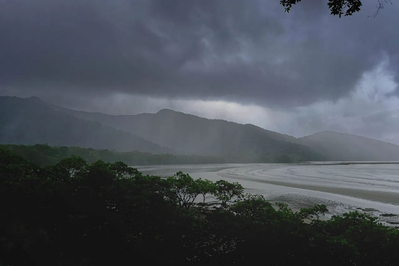 Daintree.jpg