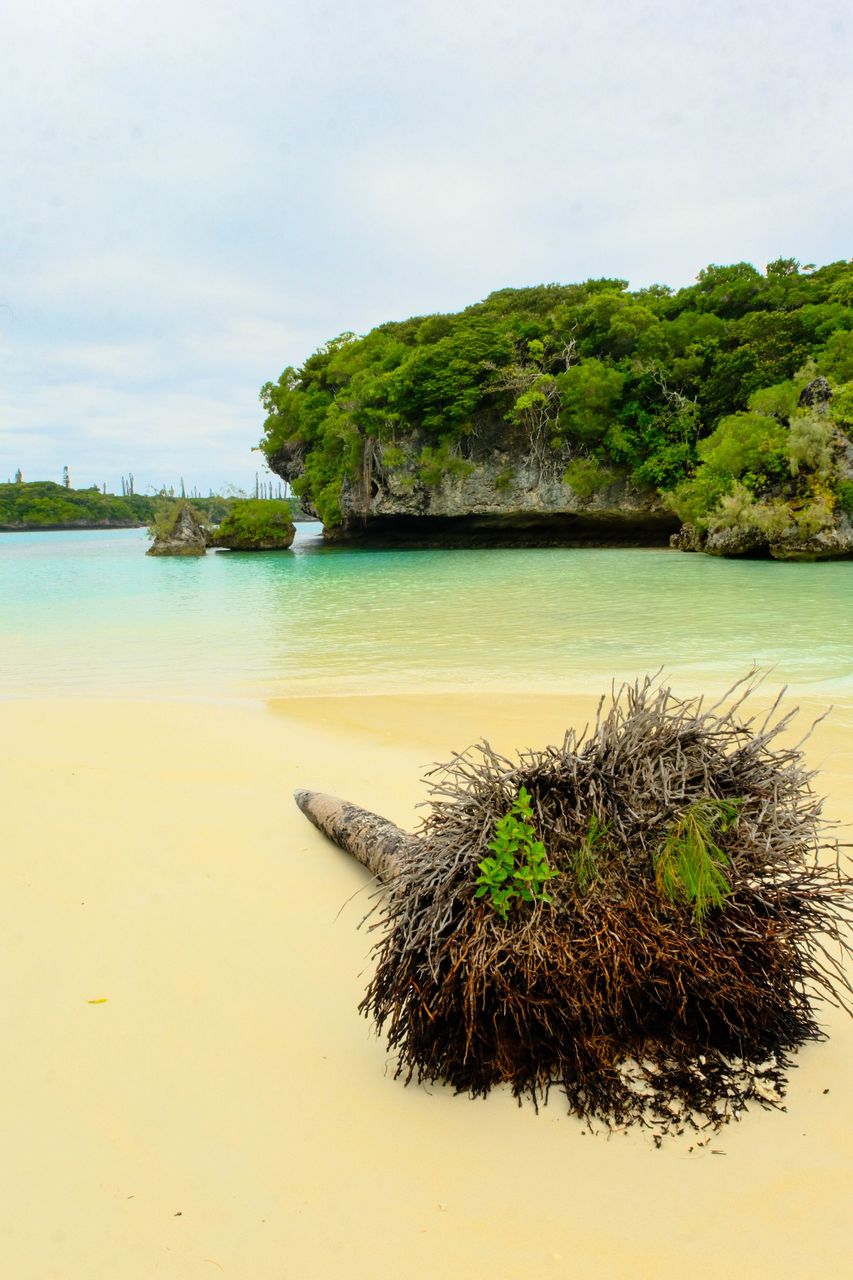 The Beach 2.jpg